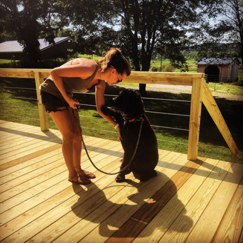 Milligan Valley Dog Training